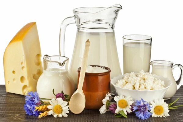 How to Increase Your Vitamin K Intake with Dairy Products